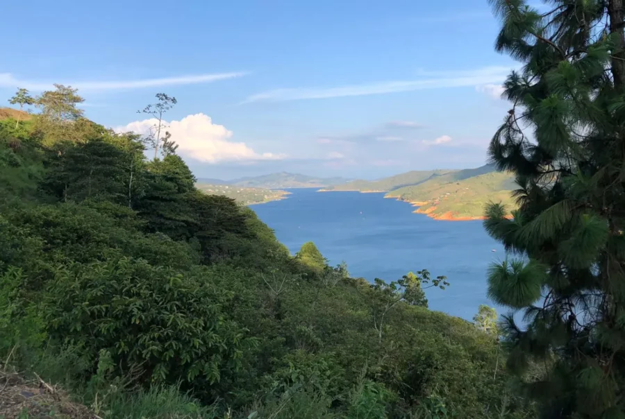 Inicio 7 Sauces - Construcciones Sostenibles - Asesoria LEED