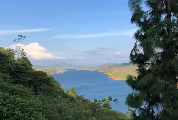 Habilitación de Uso de Suelos: Clave para el Desarrollo Sostenible